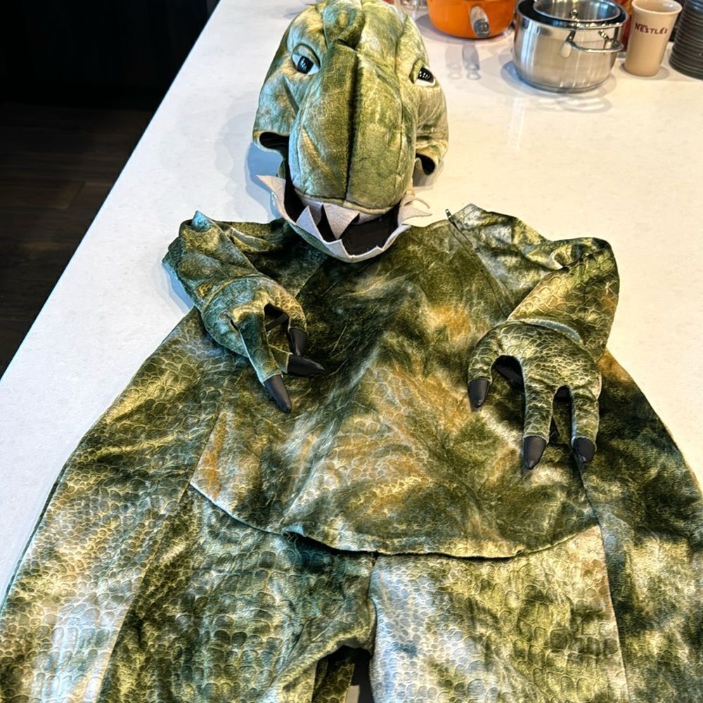 Dinosaur kids costume size 4  chasing fireflies brand, well made, fun be ready.